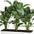 Exotic Plant Collection: Calathea, Ravenala, Strelitzia 3D model small image 2