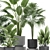 Tropical Plant Collection: Exotic Palms & Fan Palms 3D model small image 2