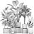 Tropical Plant Collection: Exotic Palms & Fan Palms 3D model small image 5