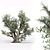 Beautiful Old Olive Tree 3D model small image 1