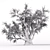 Beautiful Old Olive Tree 3D model small image 3