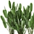 Tropical Plant Collection: Banana Palm, Ravenala, Strelitzia 3D model small image 2