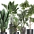 Tropical Plant Collection: Exotic, Decorative, and Stunning 3D model small image 2