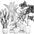 Tropical Plant Collection: Exotic, Decorative, and Stunning 3D model small image 5