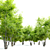 Exquisite Alee Chinese Elm Tree 3D model small image 2