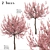 Flowering Almond Tree Duo (2 Trees) - Lovely Prunus Triloba Pair 3D model small image 1
