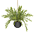 Spring Hanging Basket Plants Set 3D model small image 3