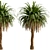 Canary Island Date Palm Trees (2-Pack): Majestic Landscaping Beauty 3D model small image 3