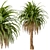 Canary Island Date Palm Trees (2-Pack): Majestic Landscaping Beauty 3D model small image 4