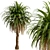 Canary Island Date Palm Trees (2-Pack): Majestic Landscaping Beauty 3D model small image 5