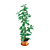 Ficus: Lifelike Indoor Plant Décor 3D model small image 1