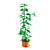 Ficus: Lifelike Indoor Plant Décor 3D model small image 2