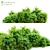 Lush Schefflera Bush: 1m Height 3D model small image 1