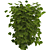 Luscious Raspberry Bushes 3D model small image 2