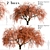 Beautiful Weeping Japanese Maple Set 3D model small image 2