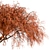Beautiful Weeping Japanese Maple Set 3D model small image 4