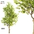 Elegant Ash Tree Wall Decor 3D model small image 1