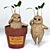 Magical Mandrake Root: Authentic Harry Potter Collectible 3D model small image 2