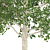 Natural Birch Tree Decoration 3D model small image 3