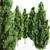 Lush Italian Cypress Forest: 5 Majestic Trees 3D model small image 2