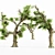 Lush 5-Tree Honey Grove 3D model small image 4