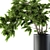 Evergreen Bliss Bonsai pine trees 3D model small image 2