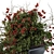 104-Piece Indoor Plant Set with Black Stand 3D model small image 2