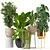 Five Plant Collection: Indoor and Outdoor Ornamental Pots 3D model small image 1