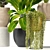 Five Plant Collection: Indoor and Outdoor Ornamental Pots 3D model small image 5