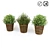 FEJKA Artificial Potted Plants - Lifelike Home Decor 3D model small image 1