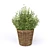 FEJKA Artificial Potted Plants - Lifelike Home Decor 3D model small image 3