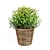 FEJKA Artificial Potted Plants - Lifelike Home Decor 3D model small image 4