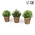 FEJKA Artificial Potted Plants - Lifelike Home Decor 3D model small image 6