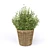 FEJKA Artificial Potted Plants - Lifelike Home Decor 3D model small image 8