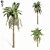 Tropical Paradise Palm Tree 3D model small image 1