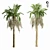 Tropical Paradise Palm Tree 3D model small image 3