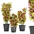 Premium Plant Collection Vol. 12 3D model small image 1