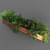 Botanical Essence: Exquisite 667k Poly Plant 3D model small image 2