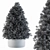 Evergreen Beauty: Indoor Pine Tree 3D model small image 4