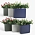 Nerium Urban Planter 3D model small image 1