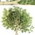 Majestic Chestnut Tree 3D model small image 4