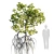 Mangrove Variations: Lifelike Trees 3D model small image 6