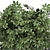 Exotic Tropical Schefflera Plant Collection 3D model small image 4