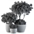 Concrete Pot Outdoor Tree Set 3D model small image 5