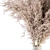 Natural Pampas Grass Bundle 3D model small image 3