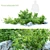 Aronia Melanocarpa Chokeberry Bush 3D model small image 1