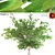 Elegant Ash Tree Wall Art 3D model small image 1