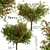 Dual Apple Tree Set 3D model small image 2