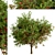 Dual Apple Tree Set 3D model small image 6