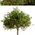 Dual Apple Tree Set 3D model small image 7